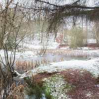 Buy canvas prints of Misty Lake in the Snow by Ann Garrett