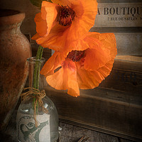 Buy canvas prints of Two Poppies in a Vase by Ann Garrett