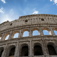 Buy canvas prints of The Colosseum Rome by Ann Garrett