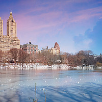 Buy canvas prints of Central Park Ice New York by Ann Garrett