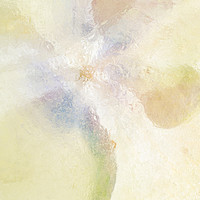 Buy canvas prints of Hydrangea in Ice - 1 by Ann Garrett