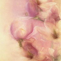 Buy canvas prints of Magnolia Softness by Ann Garrett