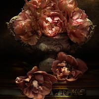 Buy canvas prints of Fallen Tulips by Ann Garrett