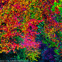 Buy canvas prints of Autumn colours by David Atkinson