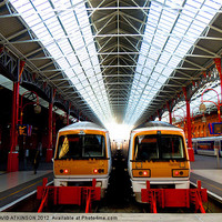 Buy canvas prints of IN THE STATION by David Atkinson