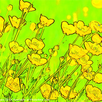 Buy canvas prints of MELLOW YELLOW by David Atkinson