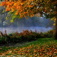 Buy canvas prints of Autumn Mist by David Atkinson