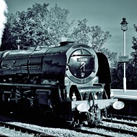 Buy canvas prints of Duchess of Sutherland by David Atkinson