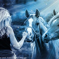 Buy canvas prints of Magical Horses by David Atkinson
