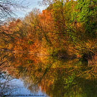 Buy canvas prints of Autumn Reflections by David Atkinson