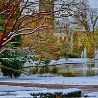 Buy canvas prints of Winter in the park by David Atkinson