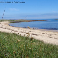 Buy canvas prints of beadnell bay Northumberland by angela morris