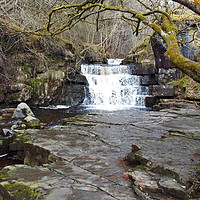 Buy canvas prints of Summerhill force Co Durham by angela morris