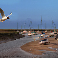 Buy canvas prints of Dinner time at Wells next sea by Mark Bunning