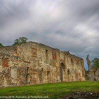 Buy canvas prints of Thetford priory lodge by Mark Bunning