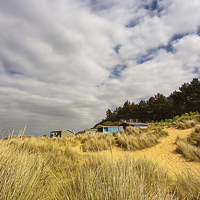 Buy canvas prints of Hunstanton beach huts through the reeds by Mark Bunning
