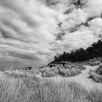 Buy canvas prints of Hunstanton beach huts through the reeds in Black a by Mark Bunning
