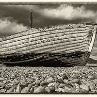 Buy canvas prints of Left to rot by Mark Bunning