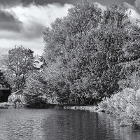 Buy canvas prints of Little Cressingham Mill in monochrome by Mark Bunning