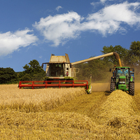 Buy canvas prints of Harvesting the crop by Mark Bunning