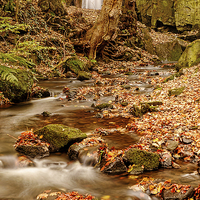 Buy canvas prints of Falling through Lumsdale by Mark Bunning