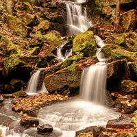 Buy canvas prints of Lumsdale Falls by Mark Bunning