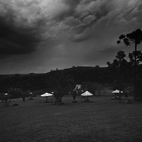 Buy canvas prints of Umbrellas by Vinicios de Moura