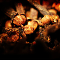Buy canvas prints of Cloves by Frankie Arkell