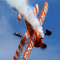 Buy canvas prints of Breitling Wingwalkers by duncan speirs