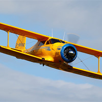 Buy canvas prints of Beech Staggerwing by duncan speirs