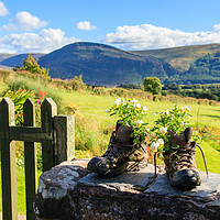 Buy canvas prints of Boots and flowers at Ennerdale in the Lake Distric by Hauke Steinberg