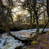 Buy canvas prints of Winter moorland stream by Jon Short