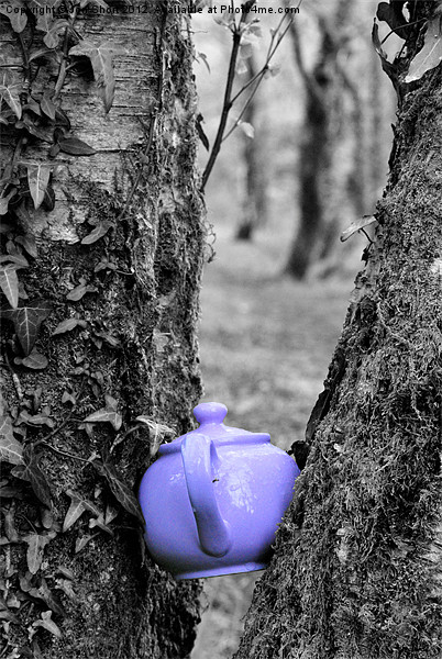 Purple Teapot Picture Board by Jon Short