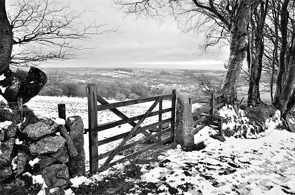 Dartmoor Gate Picture Board by Jon Short