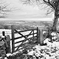 Buy canvas prints of Dartmoor Gate by Jon Short