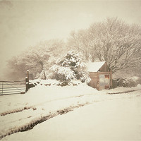 Buy canvas prints of Snowy Shed by Jon Short