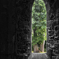 Buy canvas prints of  The Window by Rick Lindley