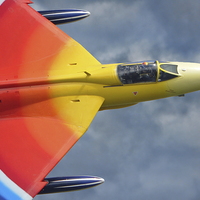 Buy canvas prints of  Miss Demeanour by Rick Lindley