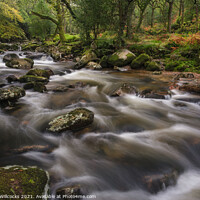 Buy canvas prints of River Plym by Jeremy Willcocks