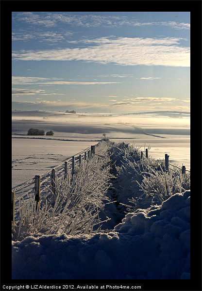 Still Life - Frozen Scotland Picture Board by LIZ Alderdice