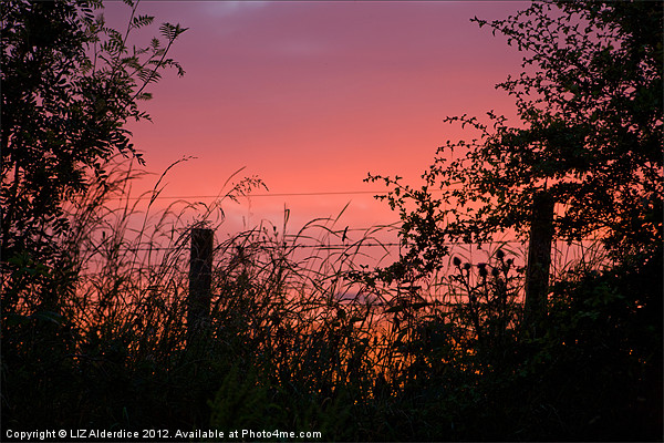 Red Sky at Night Picture Board by LIZ Alderdice