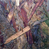 Buy canvas prints of Wood Chip Abstract by LIZ Alderdice