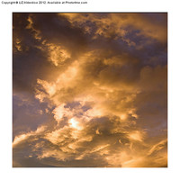 Buy canvas prints of Golden Clouds by LIZ Alderdice