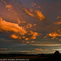 Buy canvas prints of Sunset Clouds by LIZ Alderdice