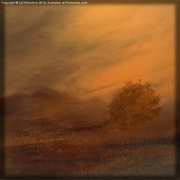 Buy canvas prints of Beyond the Rowan Tree by LIZ Alderdice