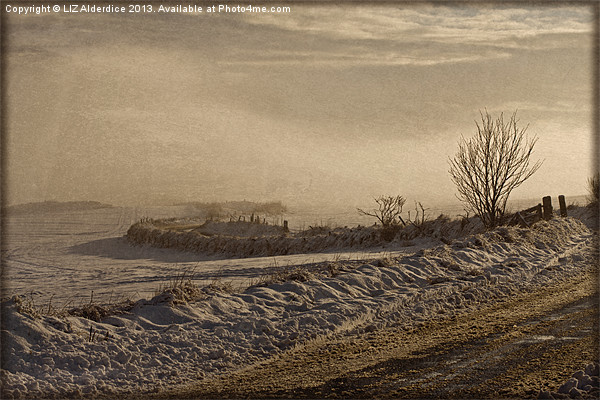 Winters Way - Scotland Picture Board by LIZ Alderdice