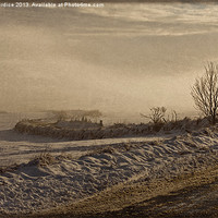 Buy canvas prints of Winters Way - Scotland by LIZ Alderdice
