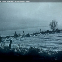 Buy canvas prints of Aberdeenshire Winter Landscape by LIZ Alderdice