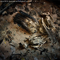 Buy canvas prints of Deathly Hallows by LIZ Alderdice