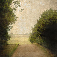 Buy canvas prints of A Walk Up The Lane by LIZ Alderdice